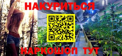 a pvp Гагарин