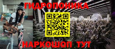 a pvp Гагарин