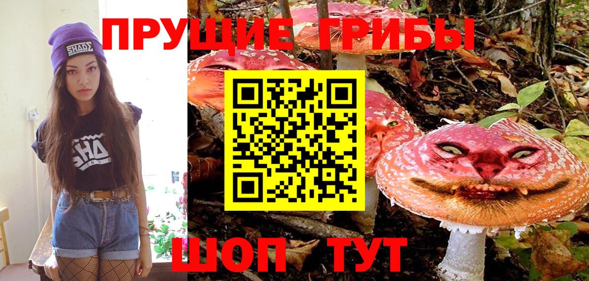 Галлюциногенные грибы мухоморы  наркота  Орехово-Зуево  Вход с VPN 